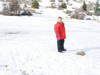 Click for larger image.